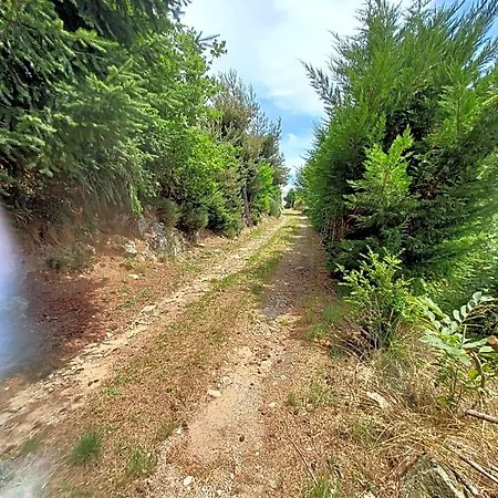La Grange De La Coste Alojamento de Acomodação e Pequeno-almoço Saint-Barthélemy-le-Meil