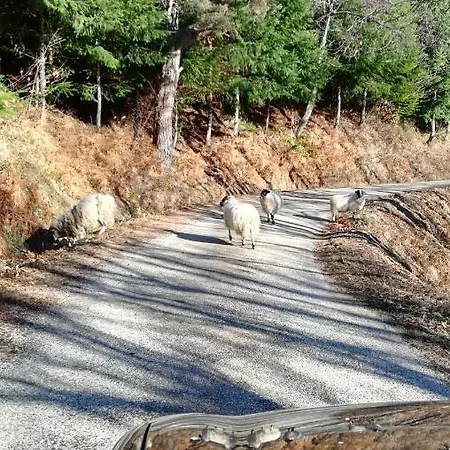 Les Granges De La Coste Saint-Barthélemy-le-Meil
