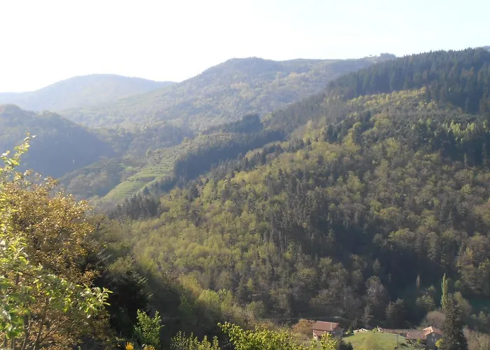 La Grange De La Coste Bed & Breakfast 3*